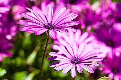 亚马逊裁员 Alexa和云游戏部门受严重影响